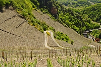 Wandern im Ahrtal