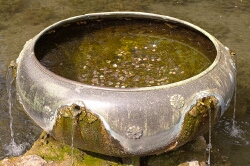 Japanischer Garten