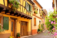 Ribeauville (L'Alsace)